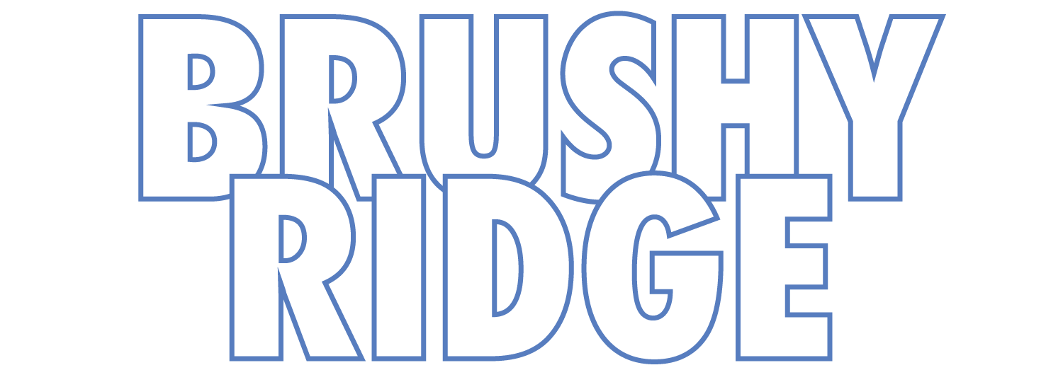 The Brushy Ridge Militia